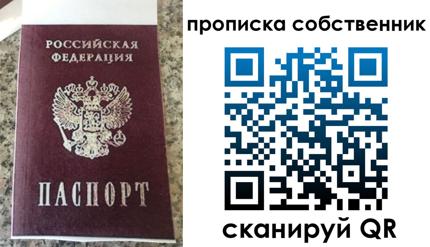 прописка для школы в Сертолово